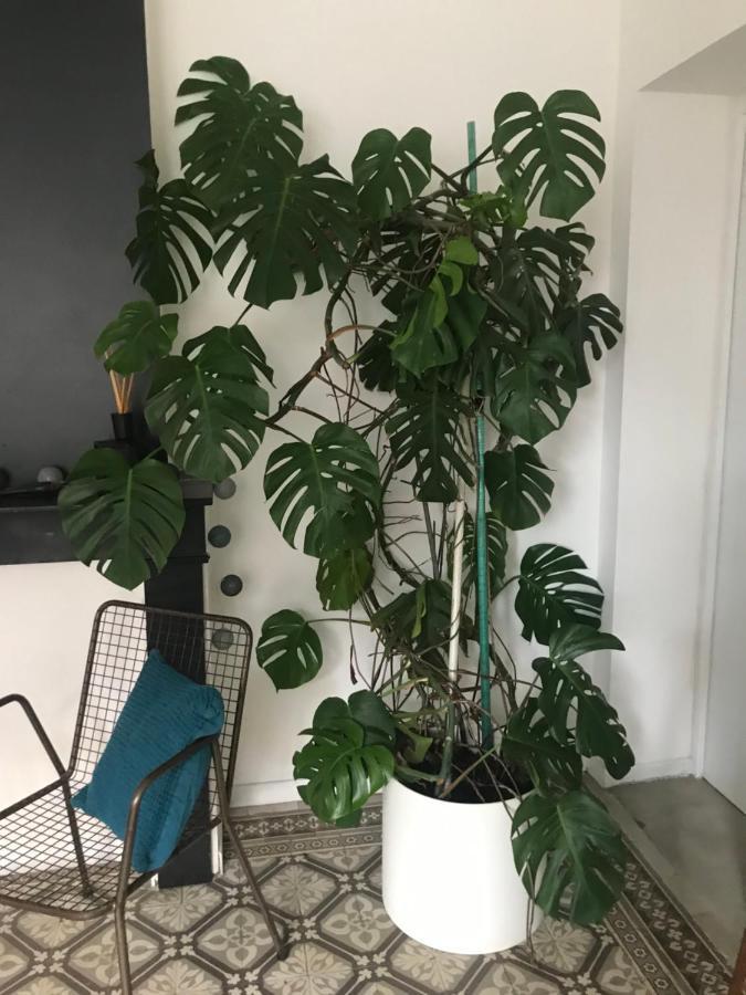 Le Marais Appartement Annoeullin Buitenkant foto